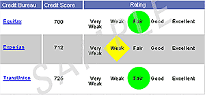 What Does Your Credit Score Look Like?